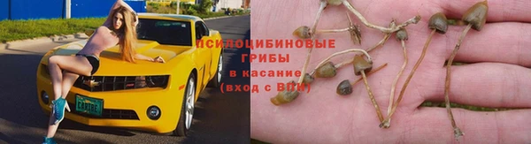 МДПВ Бронницы